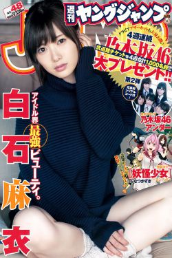 泰迪熊1高清免费完整版在线观看
