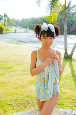 野鸭子第二部电视剧全集30集在线