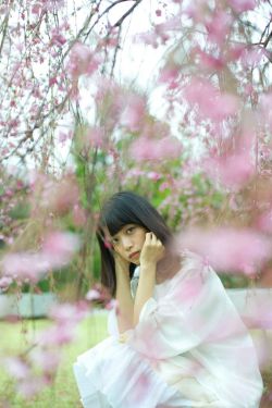 请君电视剧全集免费41集